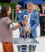Nos chiens en exposition