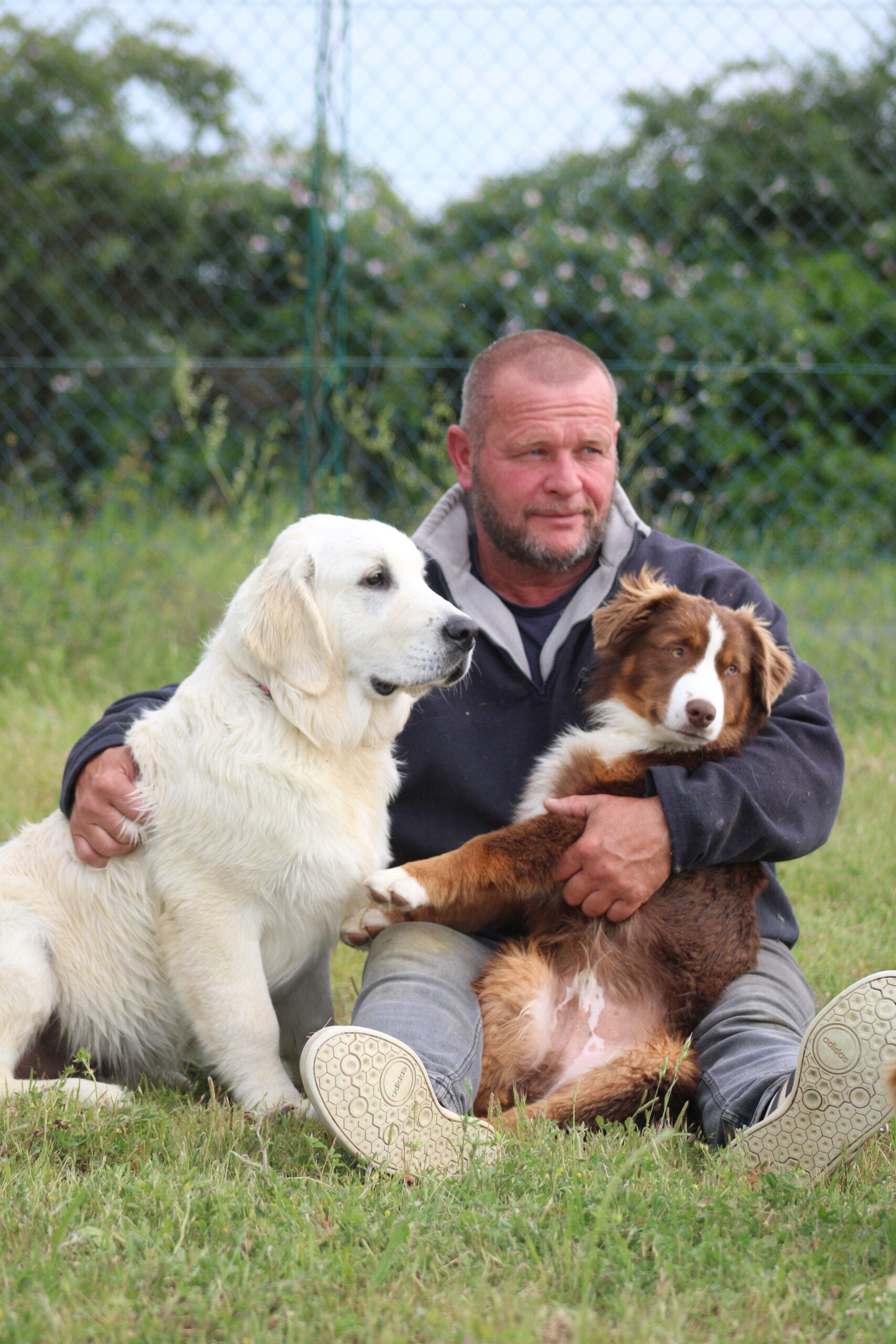 Vie avec les chiens aux Alizés de Maëlynn