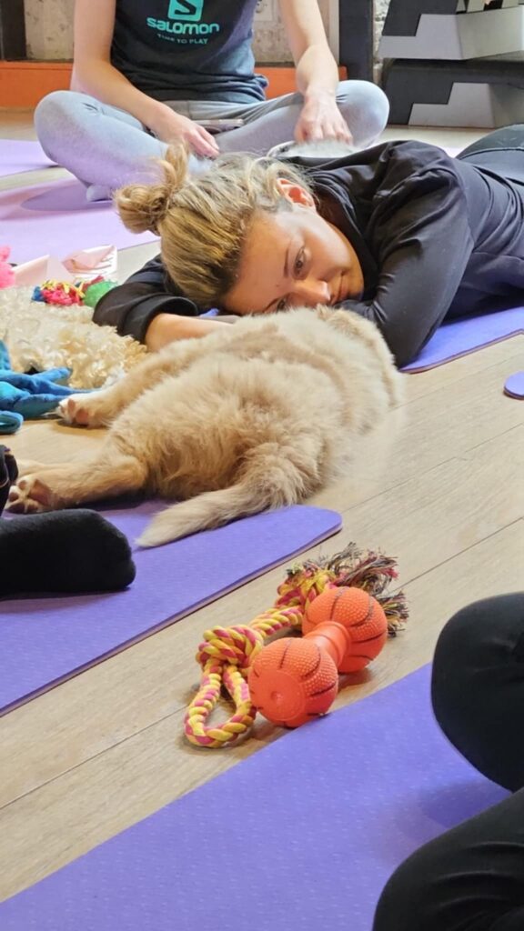 yoga puppy