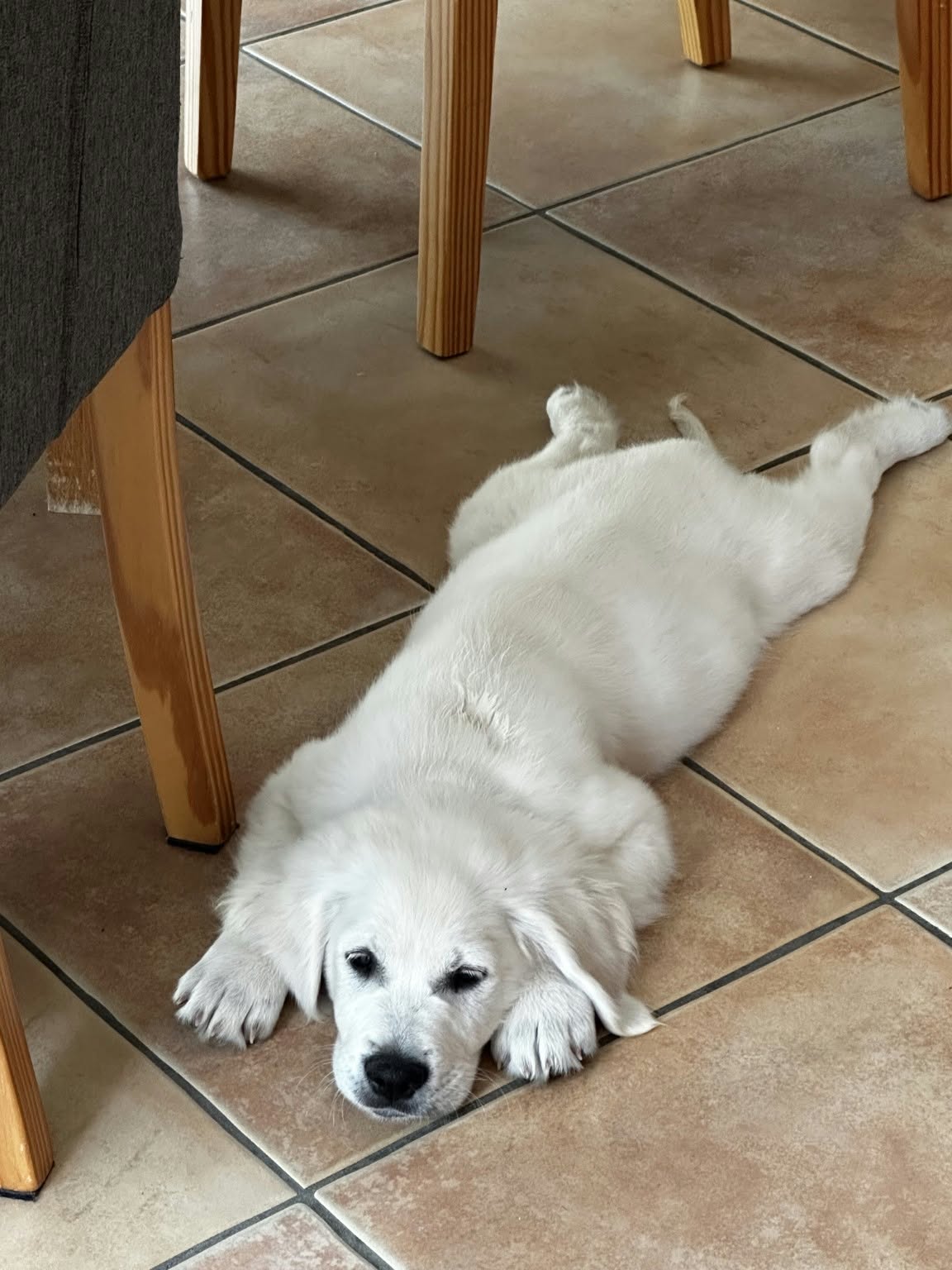 Bébé des Alizés de Maëlynn avec son doudou